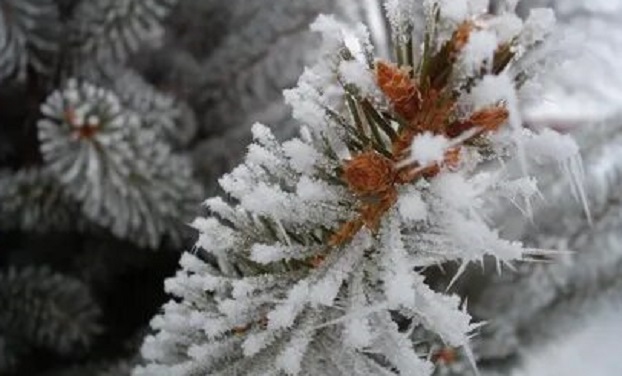 Морозную и снежную третью декаду ноября обещают синоптики украинцам