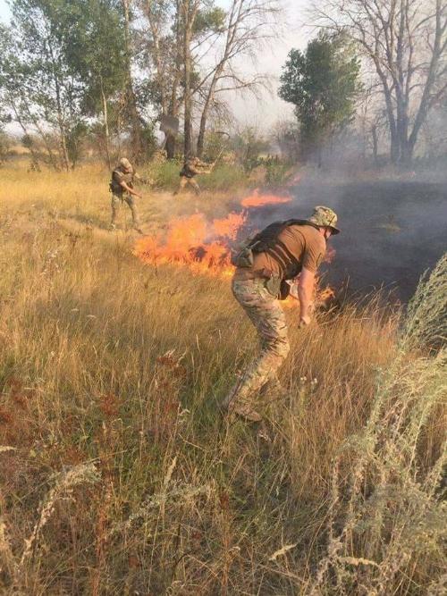 Ситуация с пожарами в  Луганской области становится угpожающей 