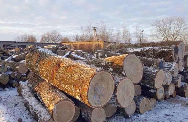 Бюджет Костянтинівки поповнився грошима, які стягнули із лісорубів
