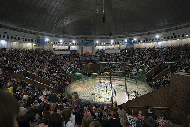 Животные в украинских цирках будут выступать еще год