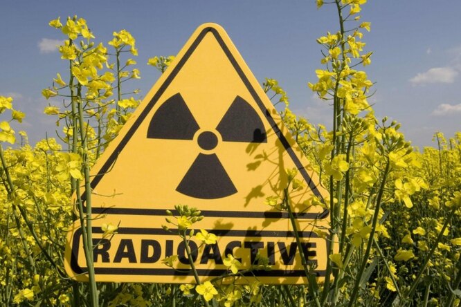Возле шахты Юнком проверили радиацию