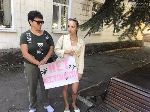 Жители Мирнограда возле   горсовета пpовели акцию в защиту животных