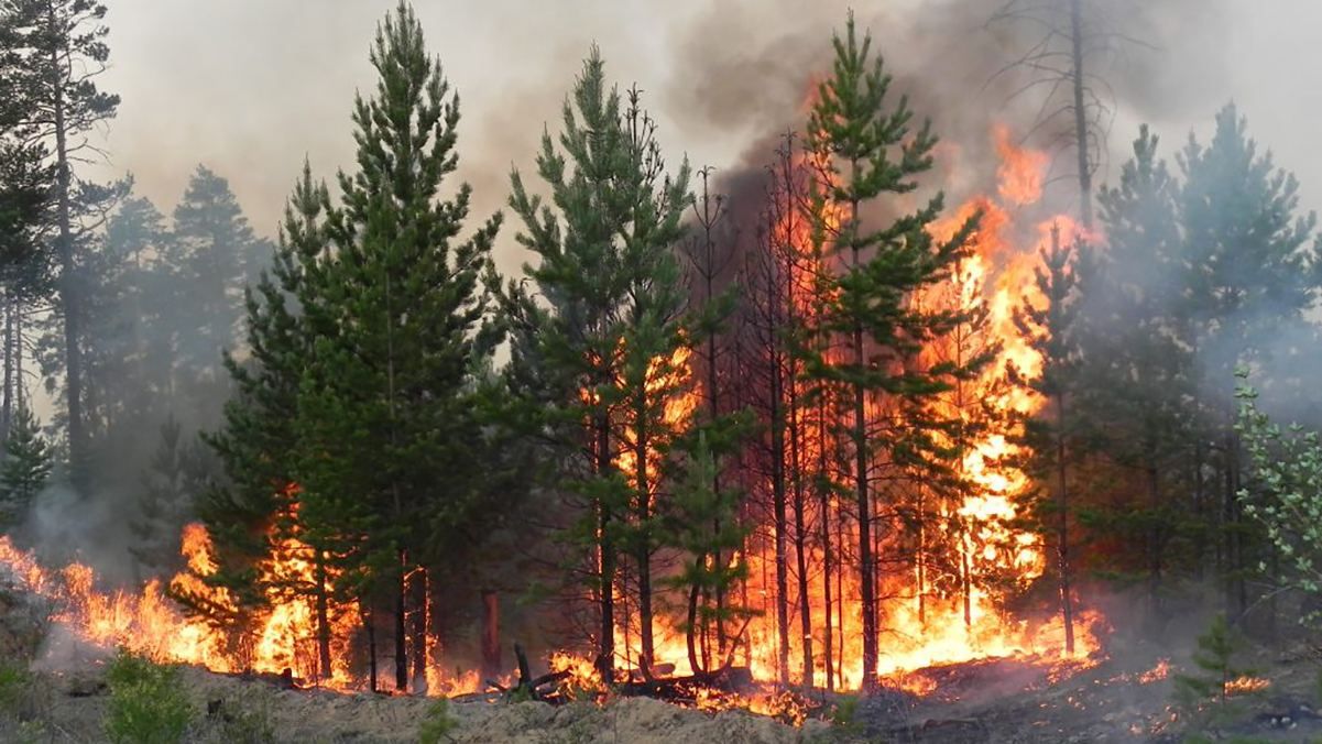 В Донецькій області очікується пожежна небезпека