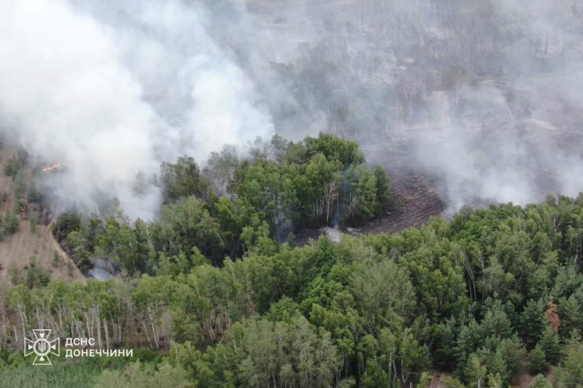 Як Лиманський лісгосп відновлює ліси та бореться з наслідками війни