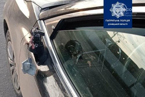 Смертельный номер: Утка врезалась в машину в Мариуполе и снесла зеркало