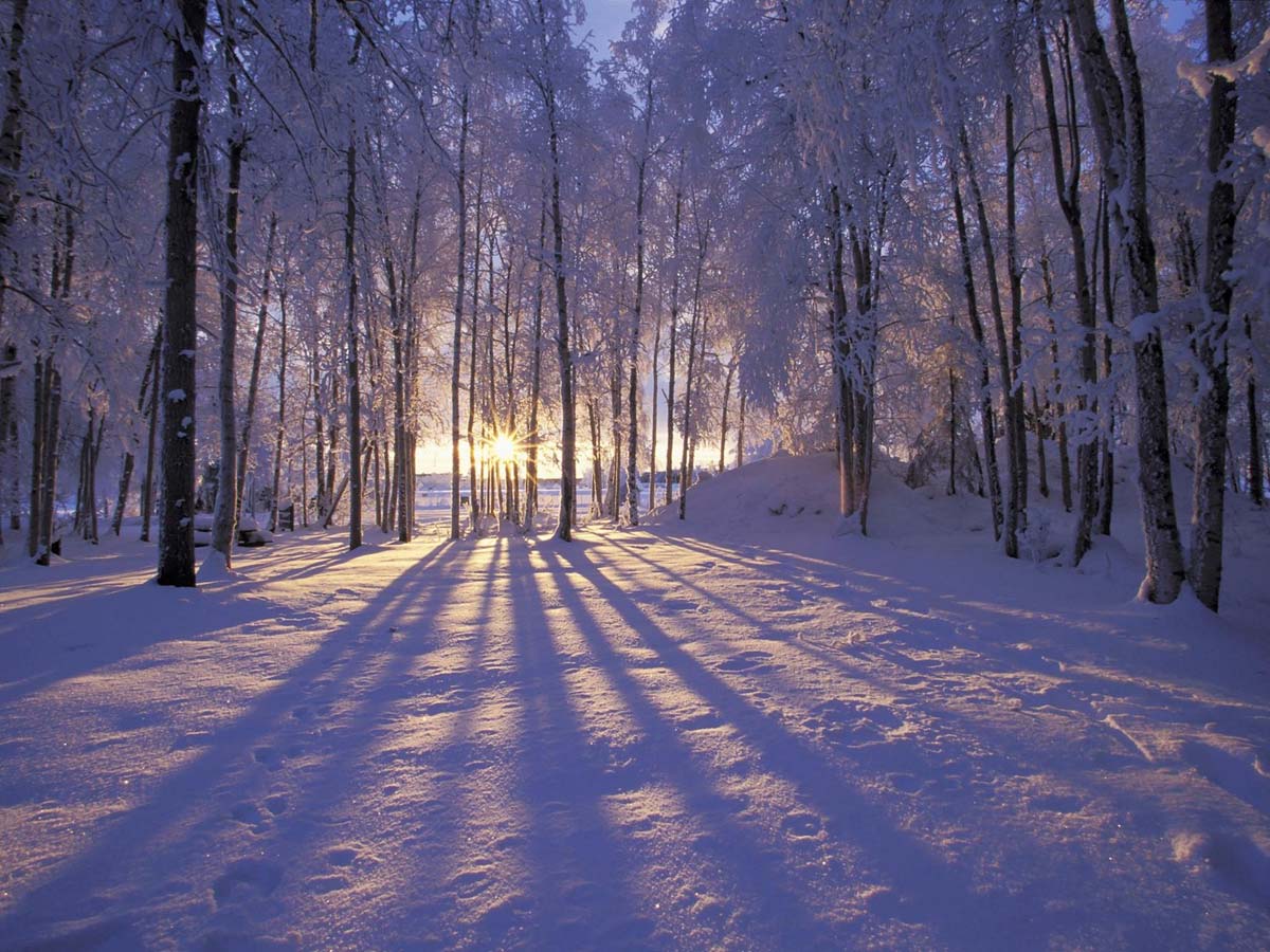 В Донецкой и Луганской областях 19 января будут сильные морозы