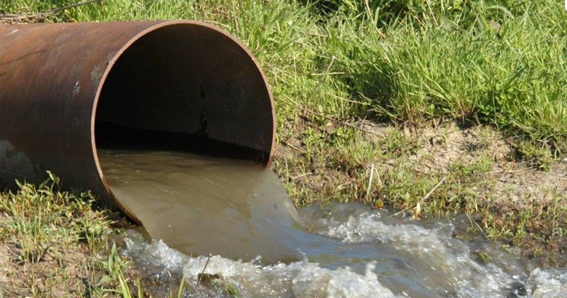 В Донецкой области выявили факт загрязнения реки Казенный Торец