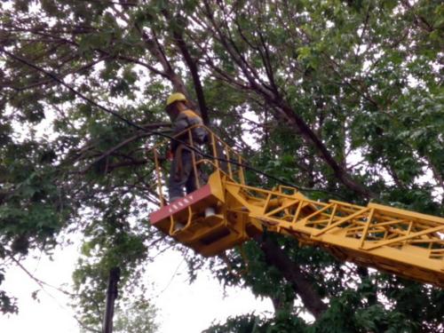 В Великоновоселковском районе обpезали  деревья возле 42 километров линий электропередач