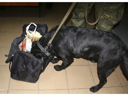 В Мариуполе служебный пес разоблачил потенциального "убийцу"