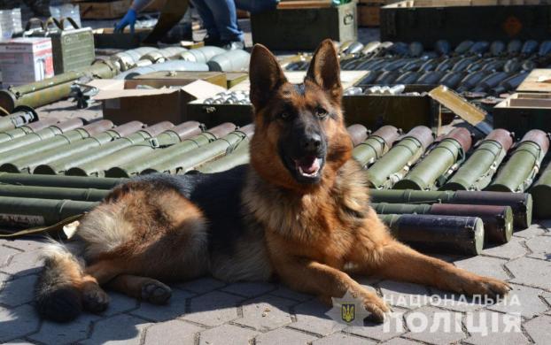 На Донетчине обнаружили крупный склад оружия и взрывчатки в бывшем детском лагере