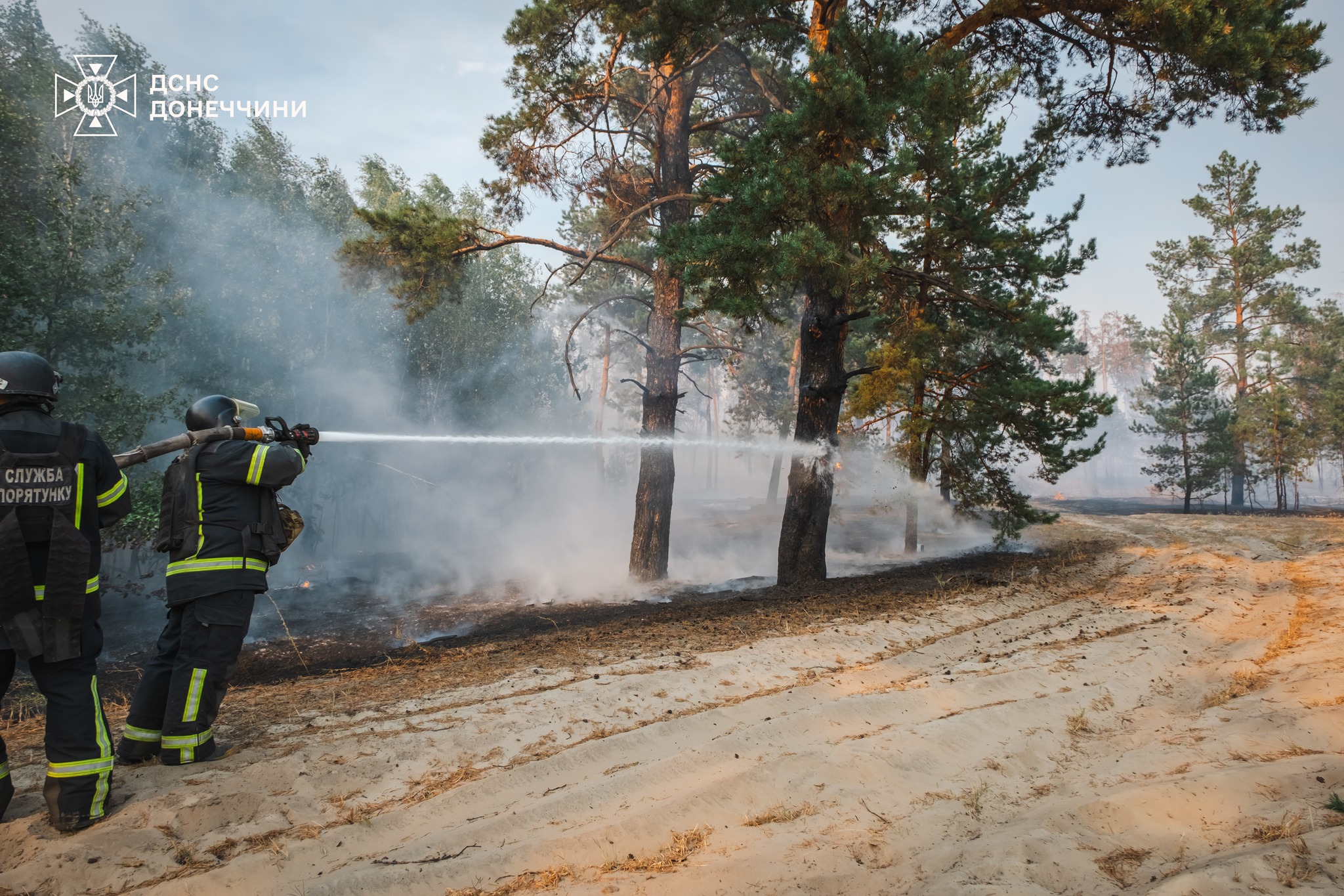 Триває ліквідація масштабної лісової пожежі на Лиманщині