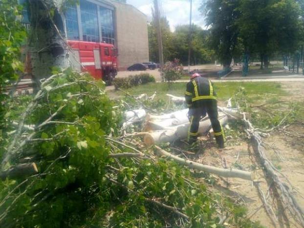 В Селидово спасатели удалили аварийные деревья, угрожавшие здоровью  прохожих