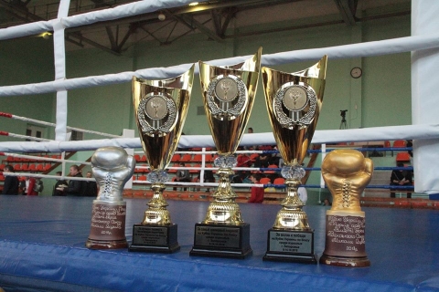 Юные боксеры из Марьинского района заняли призовые места в областных соревнованиях