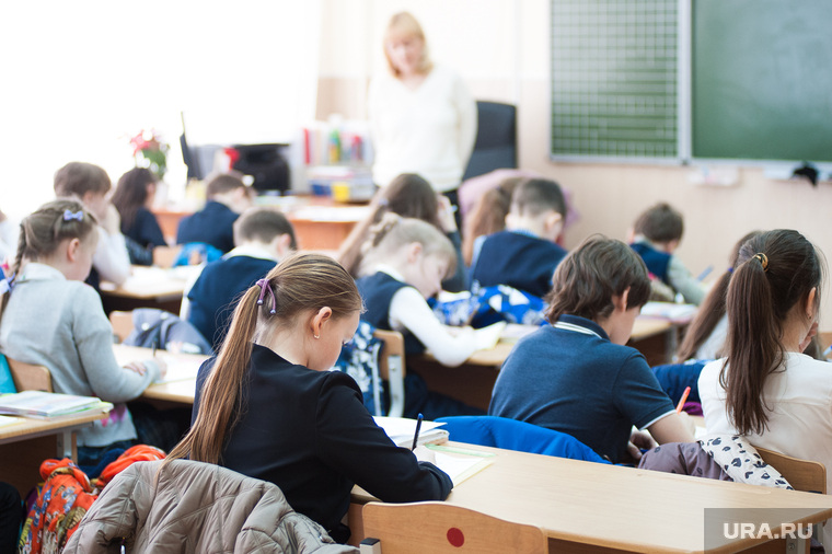 С 21 февраля в Константиновке изменят формат обучения в школах