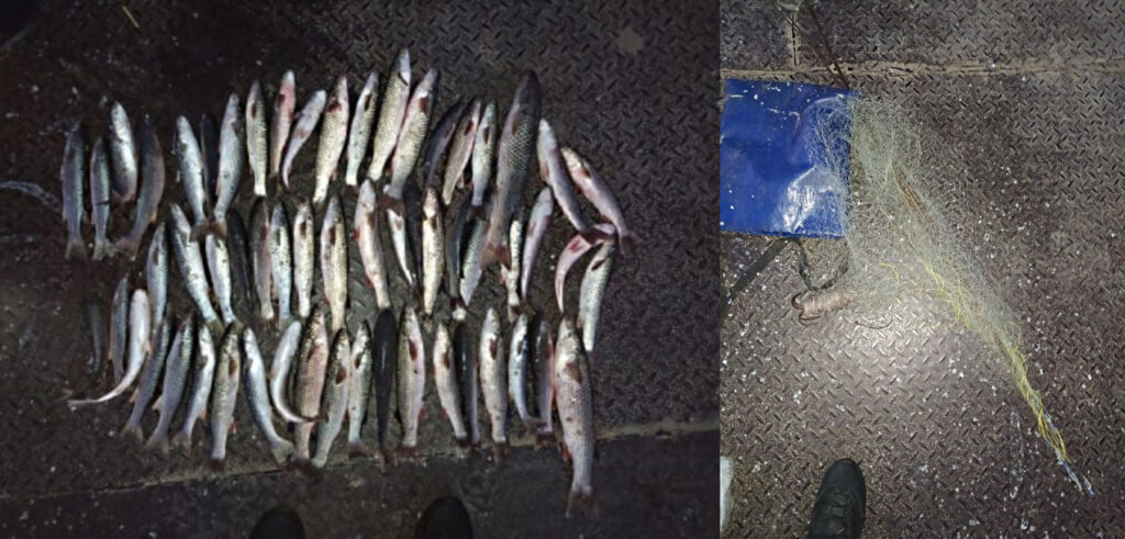 Браконьер в Мариуполе наловил рыбы на крупную сумму