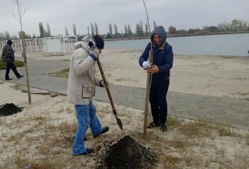 На озере Вейсовом озеленяют территорию