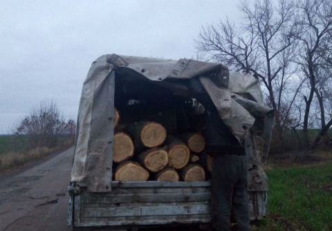 В Славянском районе предотвратили незаконную вырубку леса