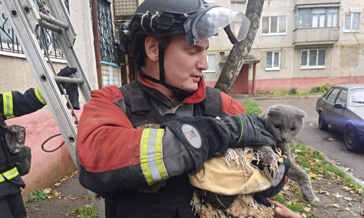 Рятувальники у Дружківці витягли кота із замкненої квартири на третьому поверсі