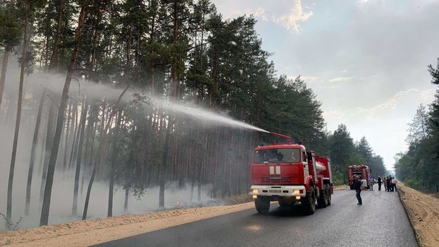Масштабный лесной пожар в Луганской области удалось локализовать