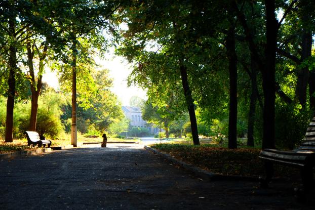  В Славянске в парках и скверах появятся  сигнальные ленты