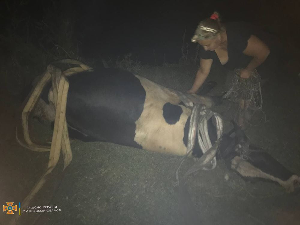 В Дружковке корова застряла в грязи. Пришлось вызвать спасателей