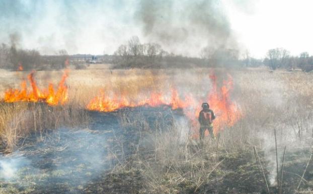 31,3 га леса и травы горели в эти выходные на Луганщине