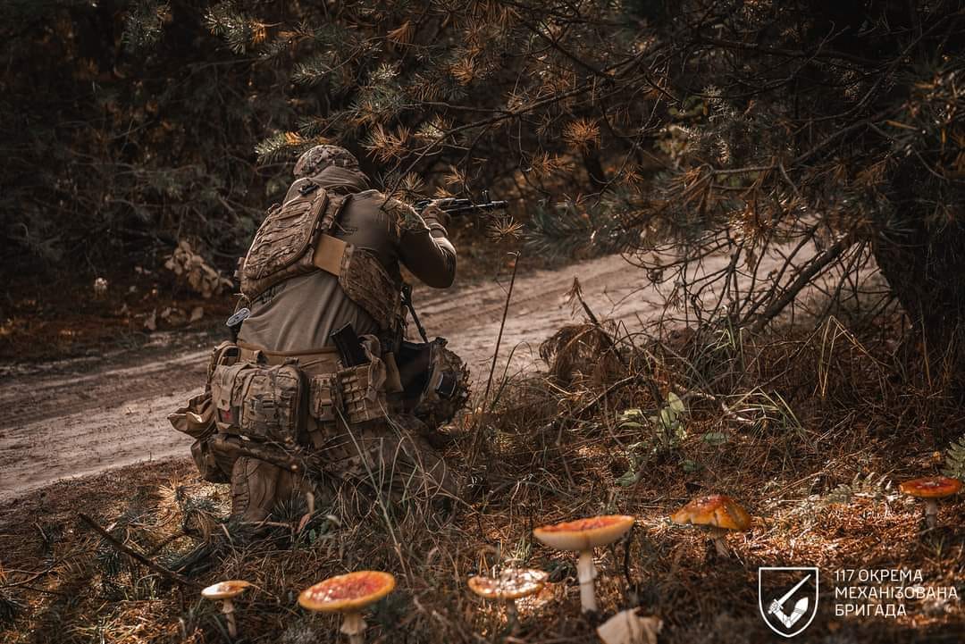 Під контроль росіян перейшло Селидове, селище Вишневе та село Зоряне на Донеччині