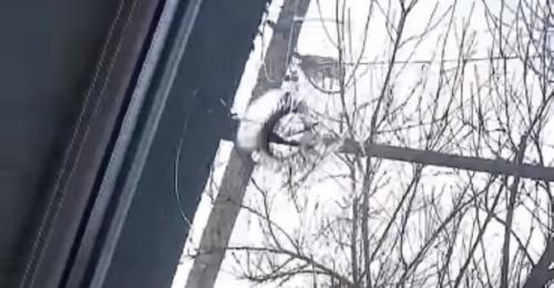 Выпущенная с полигона пуля пробила окно частного дома в пригороде Краматорска Выпущенная с полигона пуля пробила окно частного дома в пригороде Краматорска