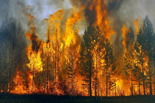 Число пожаров в экосистемах Донетчины увеличилось в два раза 