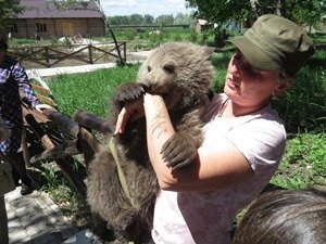 В мариупольском зоопарке родились бурые медвежата