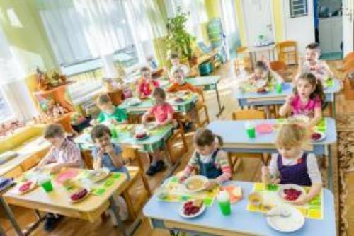 В Лисичанске недобросовестный поставщик мяса  хотел нажиться на воспитанниках детских садов 