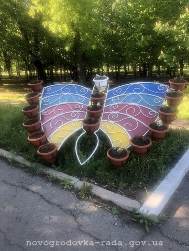 В Новогродовке беззастенчиво крадут только что высаженные цветы