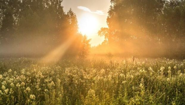 На Донеччині у вихідні спека трохи спаде