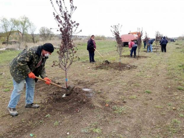 В Бахмуте ко Дню Победы заложена Аллея славы