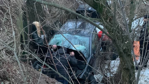 В Дружковке автомобиль вылетел с дороги — пострадала женщина