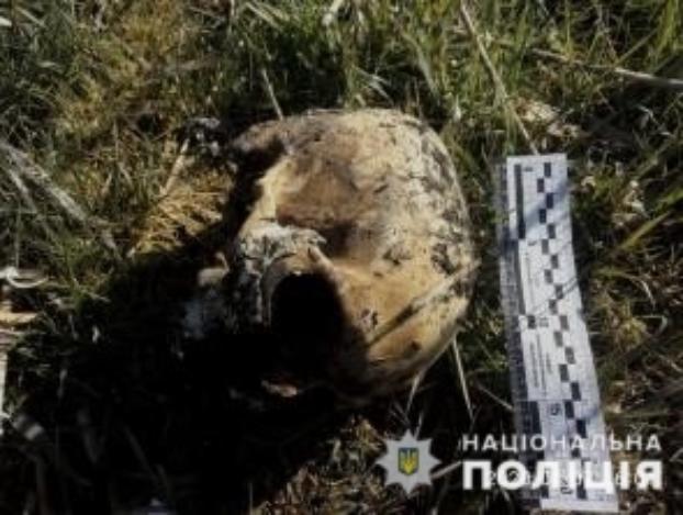 На берегу водоема в Донецкой области обнаружили человеческие останки
