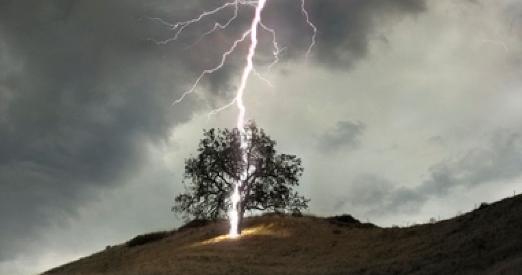 В Покровском районе молния ударила в дерево, под которым прятались девушка и парень