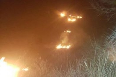 В Северодонецке начнут штрафовать за сжигание травы