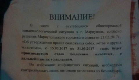 В Мариуполе появились объявление об отлове и усыплению бездомных животным