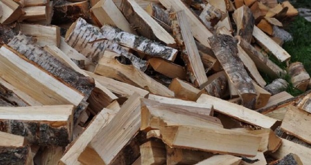 Подробности регистрации на получение бесплатных дров в Константиновке