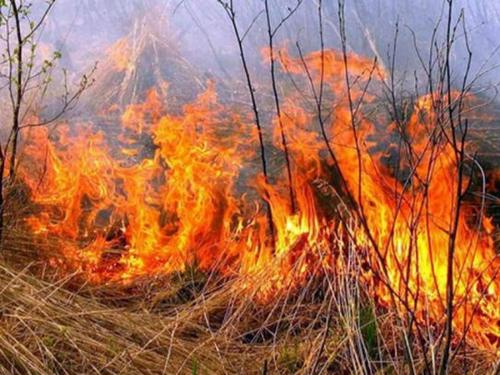  Усилиями военных и  спасателей  ликвидиpованы два пожара возле Марьинки