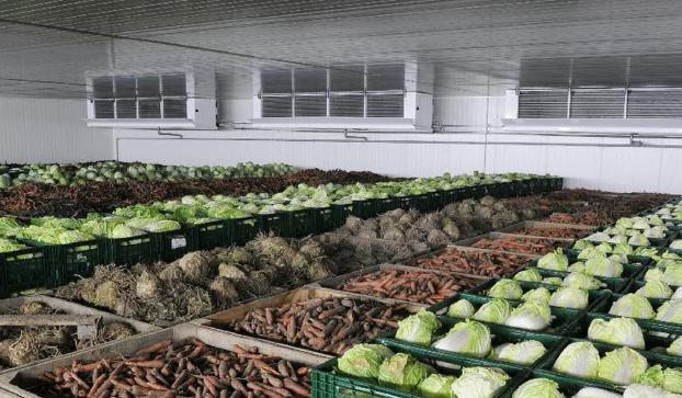 Близько 140-150 овочесховищ необхідно побудувати для продовольчої безпеки України 