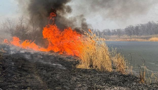 Палії сухостою на Донеччині можуть сісти у в'язницю на строк до 15 років