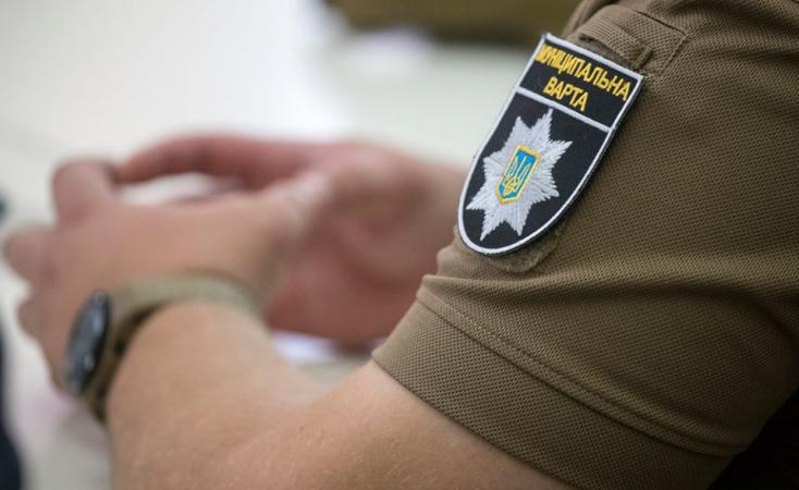 В Дружковке Муниципальная варта составила протоколы за парковку авто на газонах