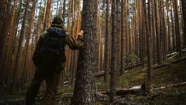 В Донецкой области в лесу заблудился мужчина