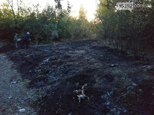 В Луганской области  возле  метановой заправки загорелась стихийная свалка