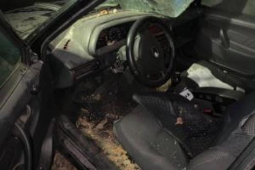 В Лисичанске изувечили авто  известной правозащитницы