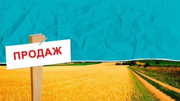 Названы лидеры по продаже земельных участков в Украине