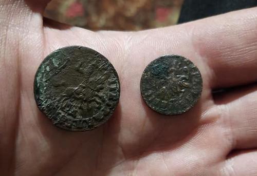 В Старобельске местный житель нашел древние монеты