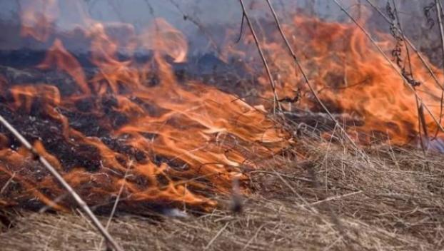 В области объявили самый высокий класс пожарной опасности